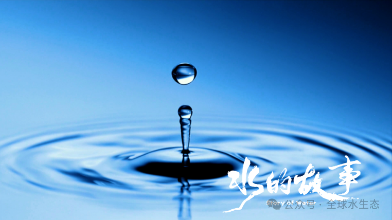 以水为脉 共守清澈